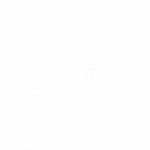 Our Clients BURS- Botswana Unified Revenue Service