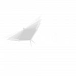 Our Clients - Bofinet